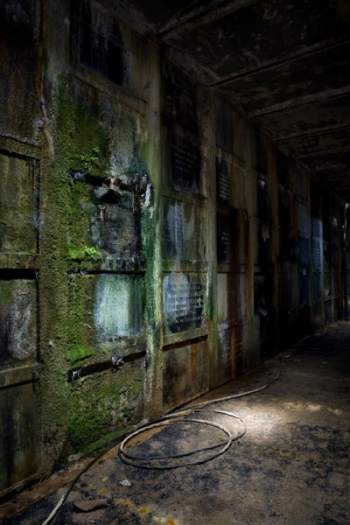 musgo en la cripta abandonada de namur Bélgica