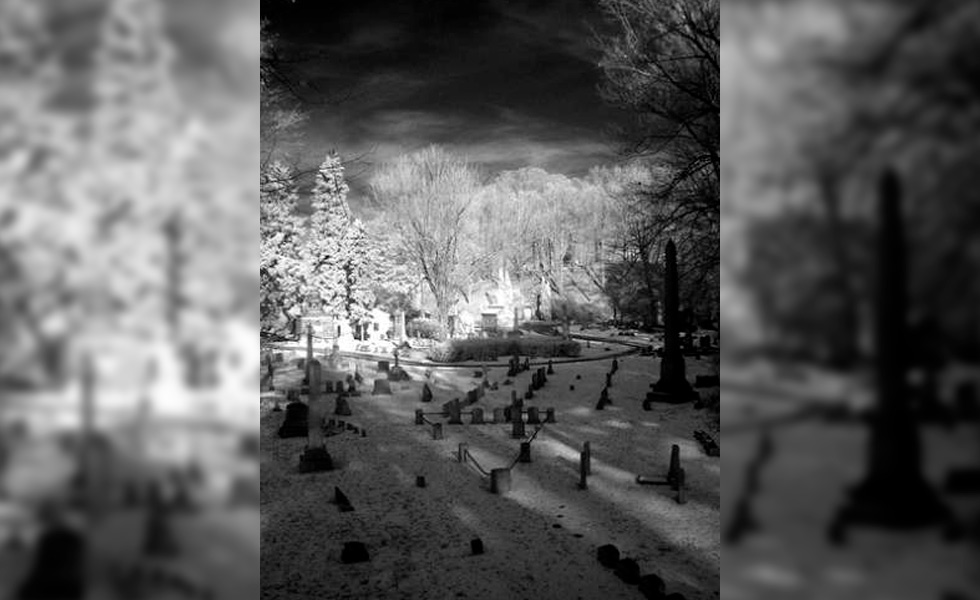 Cementerio Mount Hope NY Portada
