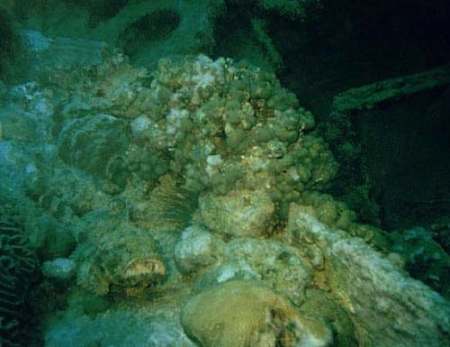 el antilla cementerio submarino aruba
