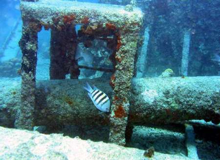 el pedernales cementerio submarino Aruba